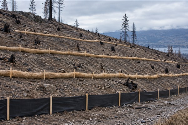 Step 7: erosion control installed on a burned slope